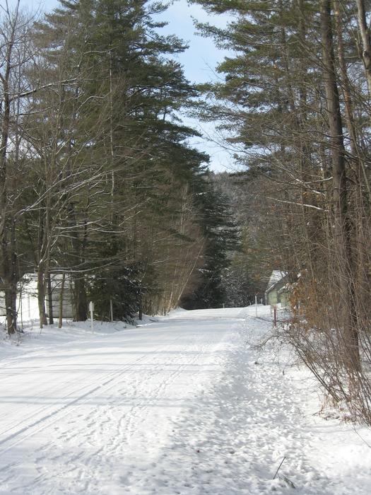 Woodhaven Condo Association Photo Library